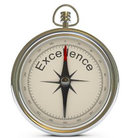Commercial Excellence Expertise