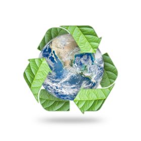 Environmental Services Leadership