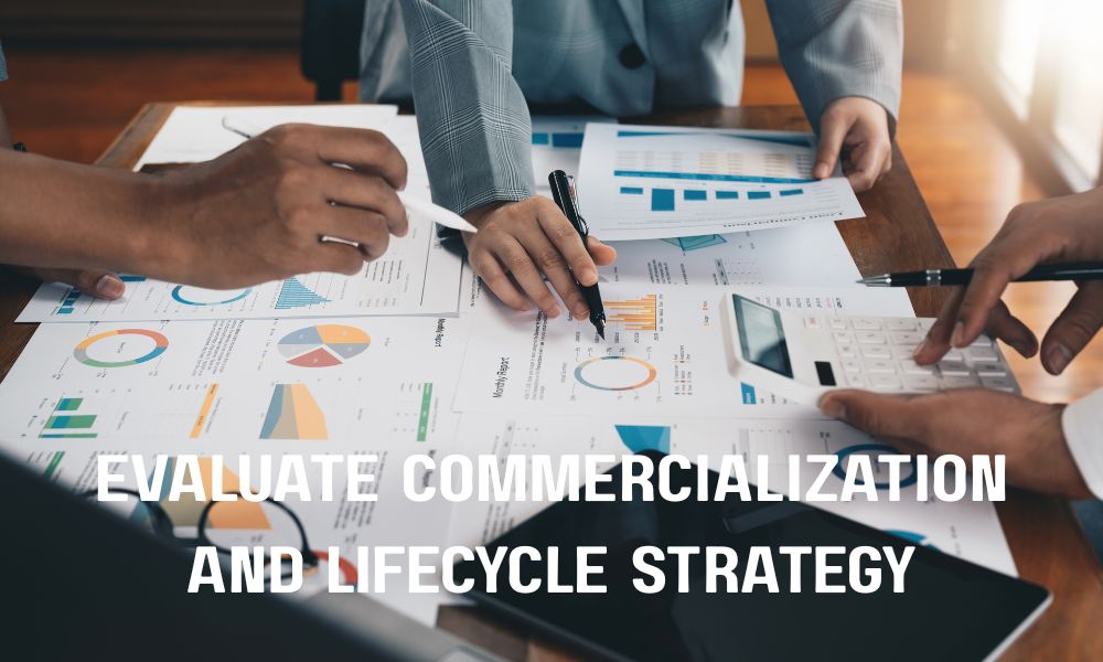 Evaluate Commercialization and Lifecycle Strategy