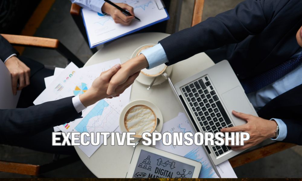 Executive Sponsorship