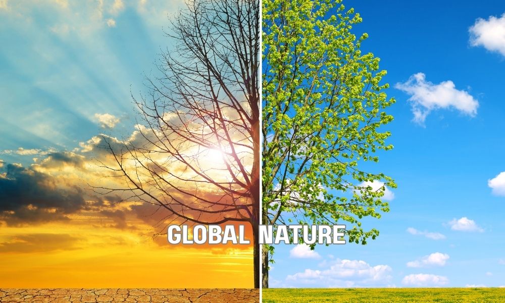 Global Nature