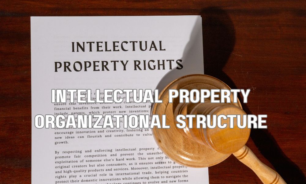 Intellectual Property Organizational Structure