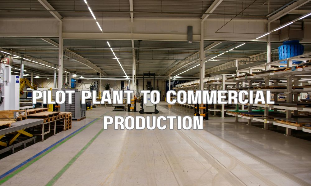 Pilot Plant To Commercial Production