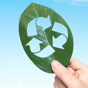 Recycling Amp Resource Recovery Experience