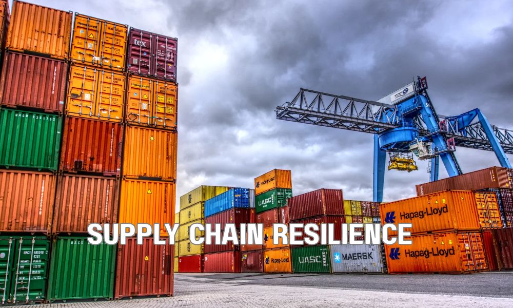 Supply Chain Resilience