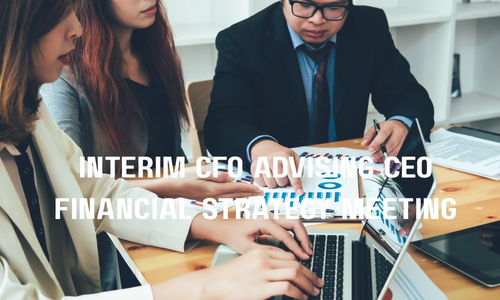 Interim CFO Advising CEO Financial Strategy Meeting